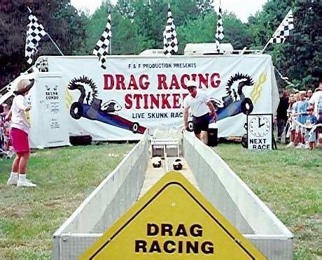 Skunk Racing