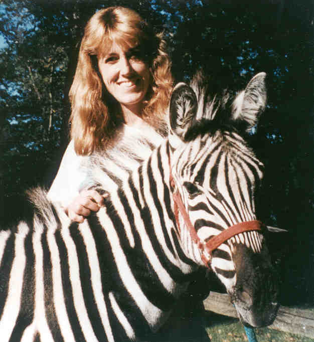 Zebra